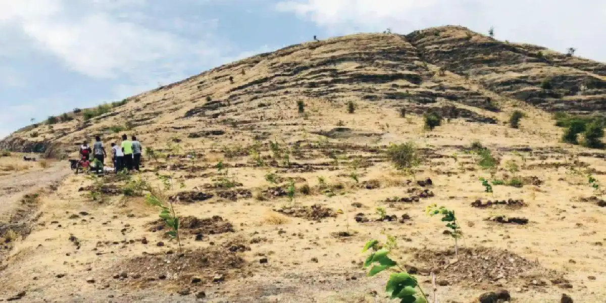 Before tree plantation impact at Bakori, Maharashtra