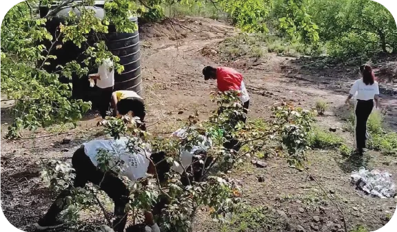Group of volunteers cleaning a hillside and collecting scattered waste