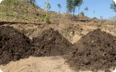 Land prepared with pits for tree plantation on hillside