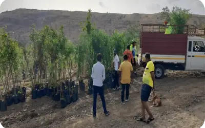 Team transporting saplings to plantation site