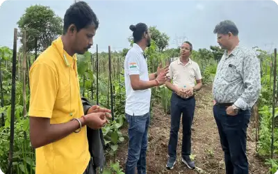 Team discussing plantation progress and site planning